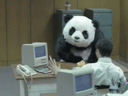 aktualizacja panda szeleje w serpach