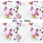 Który format jest lepszy: PNG czy JPG?
